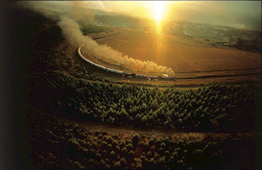 LUXUSREISEN - TRAVEL IN LUXURY  AFRIKA_LUXURY ON WHEELS, Rovos Rail