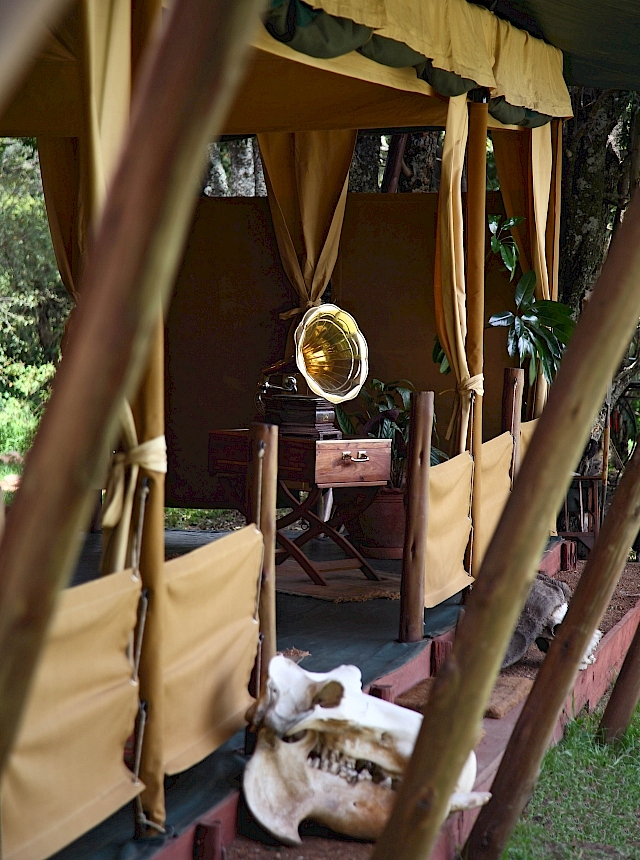LUXUSREISEN - TRAVEL IN LUXURY  AFRIKA_LUXURY SAFARIS