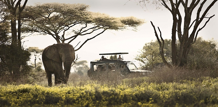 LUXUSREISEN - TRAVEL IN LUXURY  AFRIKA_LUXURY SAFARIS