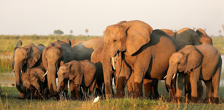 LUXUSREISEN - TRAVEL IN LUXURY  AFRIKA_LUXUS SAFARIS TANSANIA
