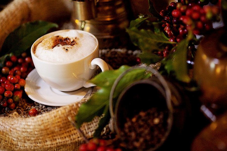 LUXE REIZEN  - TRAVEL IN LUXURY - LUXURY IS TRAVELLING  TANZANIA_LUXE SAFARIS TANZANIA**ELEWANA ARUSHA COFFEE LODGE
