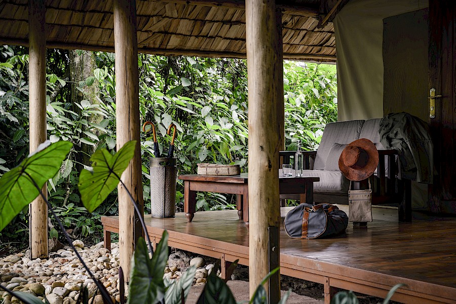 LUXE REIZEN  - TRAVEL IN LUXURY - LUXURY IS TRAVELLING  OEGANDA_LUXE SAFARIS OEGANDA**SANCTUARY GORILLA FOREST CAMP