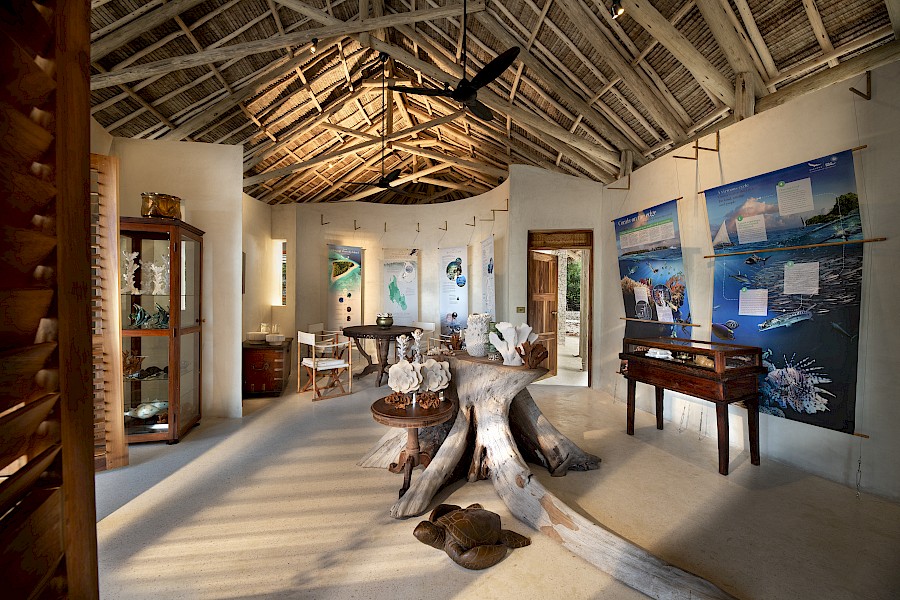 LUXE REIZEN  - TRAVEL IN LUXURY - LUXURY IS TRAVELLING  ZANZIBAR_LUXE REIZEN ZANZIBAR - TANZANIA**&BEYOND MNEMBA ISLAND LODGE