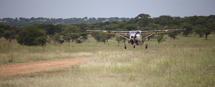 LUXE REIZEN  - TRAVEL IN LUXURY - LUXURY IS TRAVELLING  TANZANIA_LUXE SAFARI TANZANIA**KLEINS CAMP SERENGETI