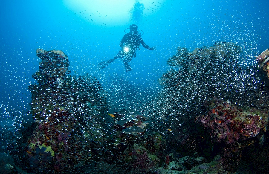 LUXUSREISEN - TRAVEL IN LUXURY_LUXURY DIVING