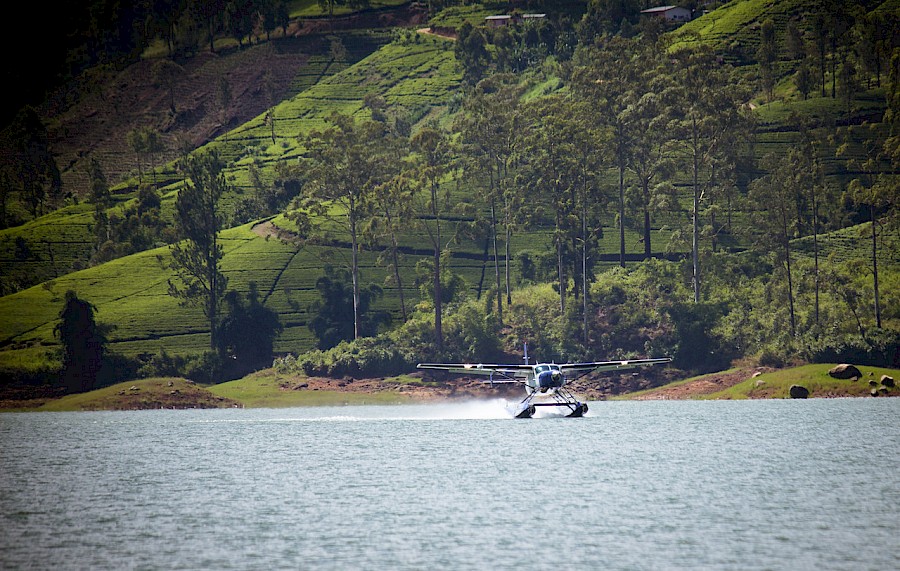 LUXE REIZEN  - TRAVEL IN LUXURY - LUXURY IS TRAVELLING  SRI LANKA_LUXE REIZEN SRI LANKA**CEYLON TEA TRAILS