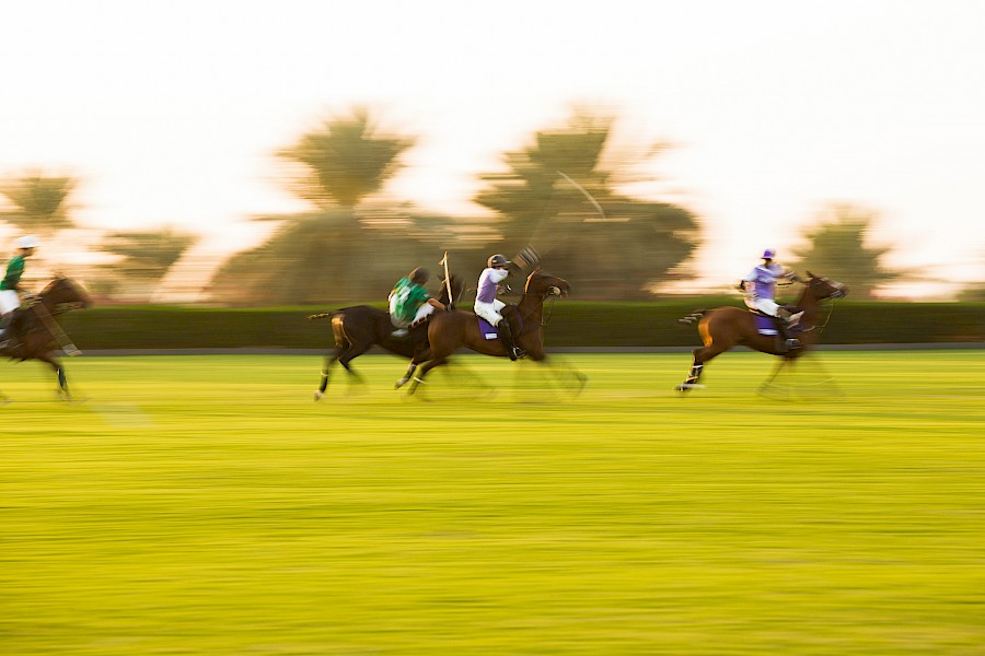LUXE REIZEN  - TRAVEL IN LUXURY - LUXURY IS TRAVELLING  DUBAI & ABU DHABI_MELIA DESERT PALM - DUBAI