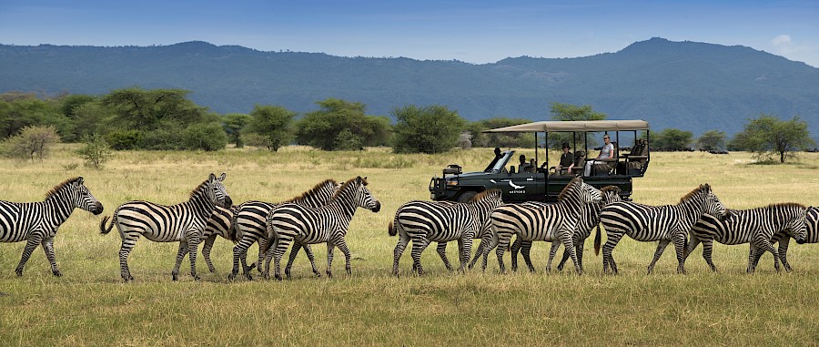 LUXE REIZEN - TRAVEL IN LUXURY - LUXURY IS TRAVELLING TANZANIA_LUXE SAFARIS TANZANIA**TREASURES OF TANZANIA