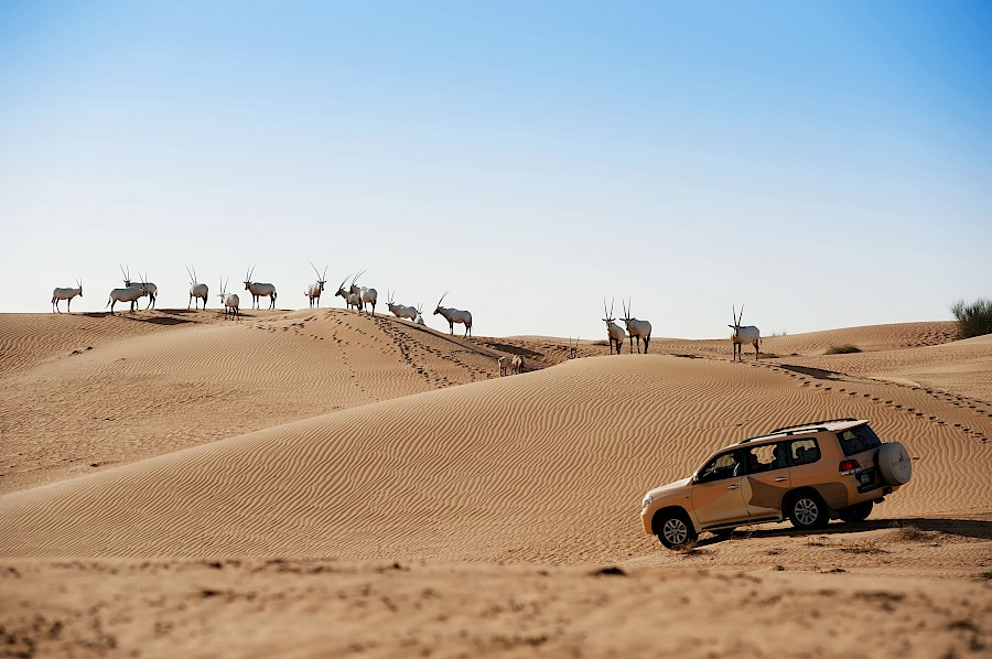 LUXUSREISEN - TRAVEL IN LUXURY  DUBAI & ABU DHABI_LUXUSRUNDREISEN DUBAI**CAMELS & FERRARIS