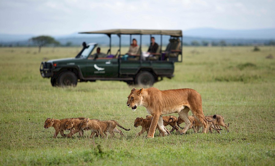 LUXE REIZEN - TRAVEL IN LUXURY - LUXURY IS TRAVELLING TANZANIA_LUXE SAFARI TANZANIA**GRUMETI SERENGETI RIVER LODGE - TANZANIA