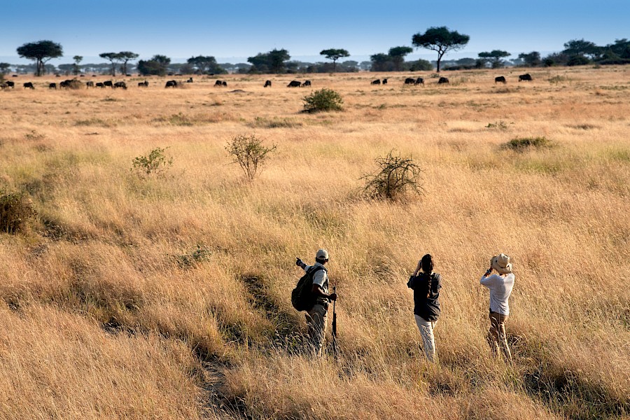 LUXE REIZEN - TRAVEL IN LUXURY - LUXURY IS TRAVELLING TANZANIA_LUXE SAFARI TANZANIA**GRUMETI SERENGETI RIVER LODGE - TANZANIA