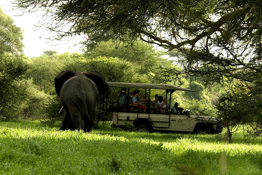 LUXE REIZEN - TRAVEL IN LUXURY - LUXURY IS TRAVELLING TANZANIA_LUXE SAFARI HET ONGEREPTE ZUIDEN VAN TANZANIA & ZANZIBAR